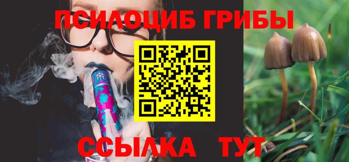 Звенигород  Галлюциногенные грибы Psilocybe  Псилоцибиновые грибы Psilocybe  Вход с VPN 